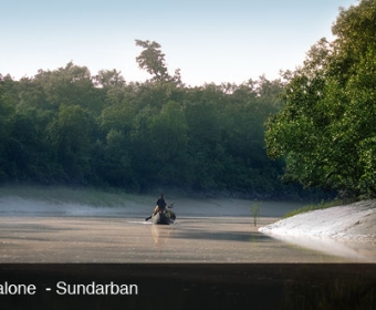 Sundarban Boat