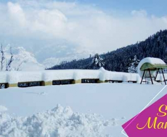 Snow Covered Manali-Shimla Holiday