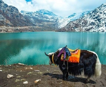 visit gangtok during your sightseeing