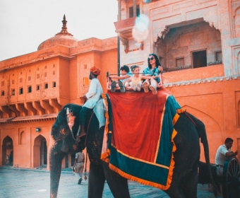 people riding elephant